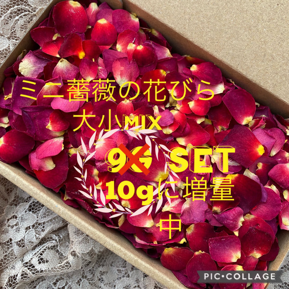 超特価！★ミニ薔薇の花びら9g→10gに増量中★大小mixドライフラワー花弁ミニローズ★レジン加工　フラワーシャワーにも