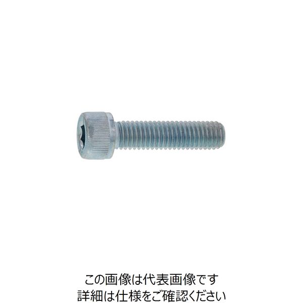 SUNCO クロニッケル CAP 12×30 （100本入） A0-00-0000-0120-0300-21 247-6234（直送品）