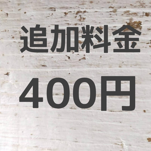 追加料金400円