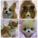 羊毛フェルト　犬　オーダーミニサイズ