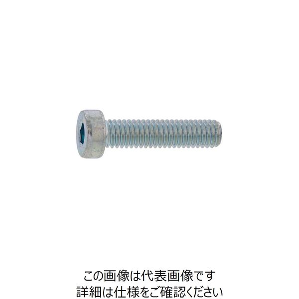 SUNCO クロメート ローヘッドCAP 6 X 20 (400本入) A0-00-L000-0060-0200-02 1箱(400本)（直送品）