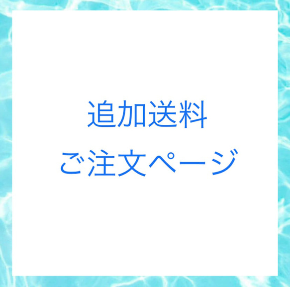 追加送料ご注文ページ