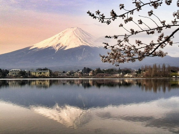 世界遺産 富士山 写真 A4又は2L版 額付き