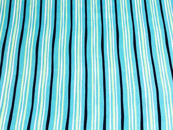 Michael Miller 110cm x 50cmずつ切売 - Emerald Stripes