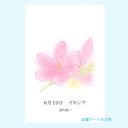 6月19日誕生花カード（花言葉つき）点描画