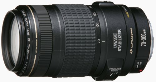 Canon 望遠ズームレンズ EF70-300mm F4-5.6 IS USM フルサイズ対応【中古品】