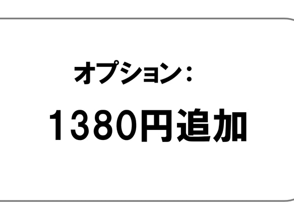 追加料金ページ： 1380円