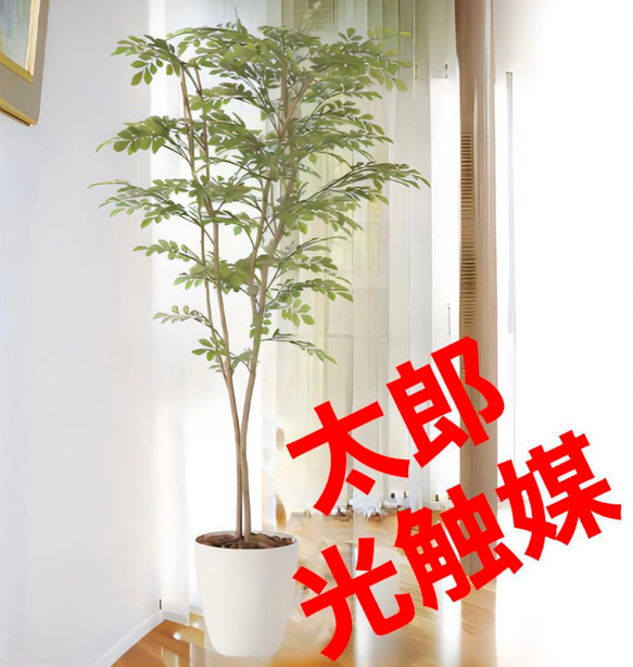 光触媒 人工観葉植物 ウォールグリーン フェイクグリーン ライトトネリコ1.6w