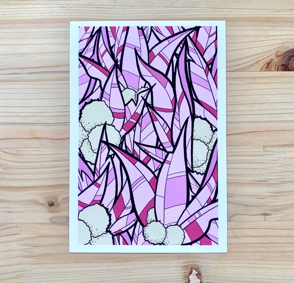 Pink Gum Leaves Art Postcard ピンクユーカリ葉のアートはがき