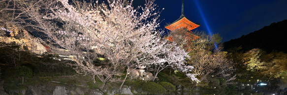 010 京都 清水寺の桜