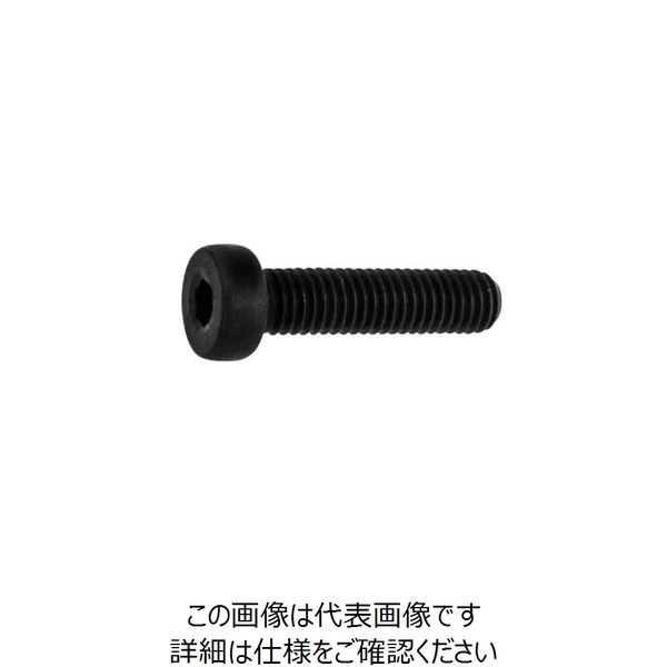 ファスニング J 鋼 ローヘッドキャップ 6 X 90 A000L0000060090000 1箱（100個）（直送品）