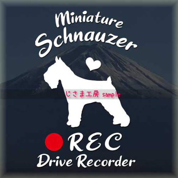 わんちゃんの可愛いドラレコステッカー!!『DRIVE　RECORDER』