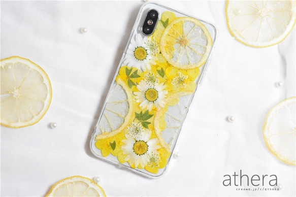 ＊本物のお花＊ 植物図鑑 押し花スマホケース iPhone15 14 13  AQUOS Xperia Galaxy