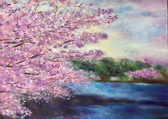 水辺の桜