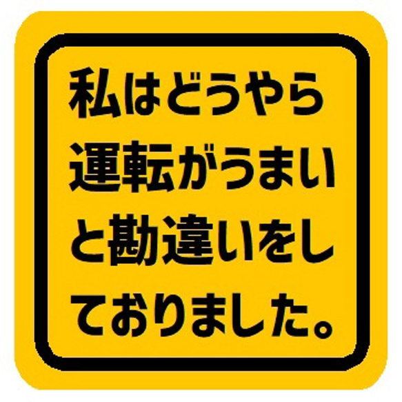 私はどうやら運転がうまいと勘違いしてた カー マグネットステッカー