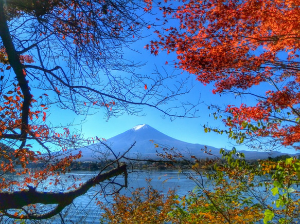 世界遺産 富士山 写真 A4又は2L版 額付き