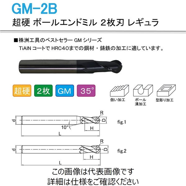 株洲ダイヤモンド切削工具 超硬 ボールエンドミル 2枚刃 レギュラ GM-2B-R10.0 1本（直送品）