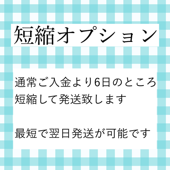 発送日短縮オプション