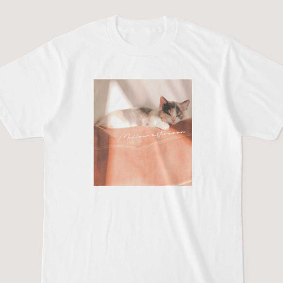 【送料無料】くじら座のみら / Mira Mellow Afternoon Tshirt / 猫グッズ