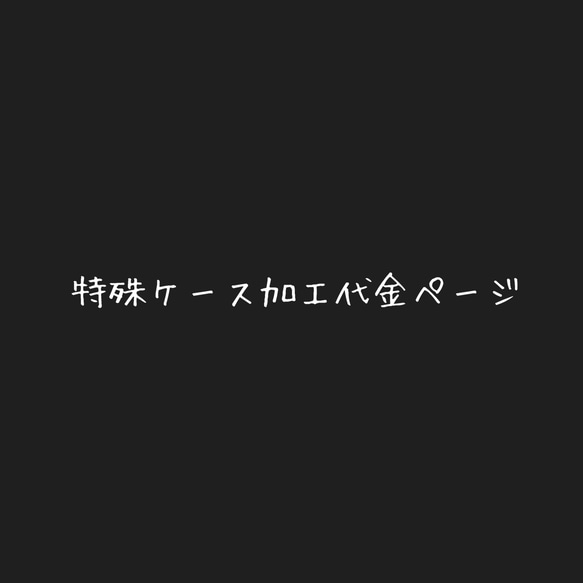 特殊ケース加工代金ページ