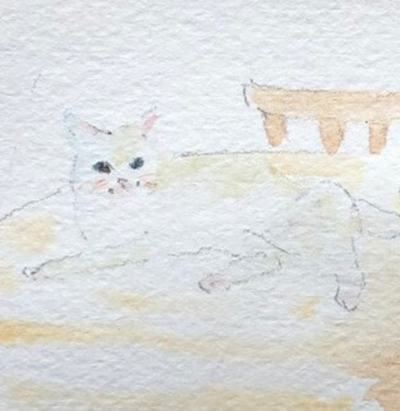 水彩画「ねこ」原画