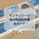 ☆モンテッソーリ☆ 海の絶滅危惧種絵カード