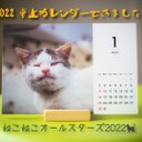 ねこねこオールスターズ　2022年 卓上カレンダー