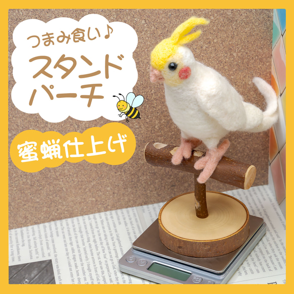 インコちゃんの✩.*˚つまみ食い♪スタンドパーチ　小型〜中型さん向け