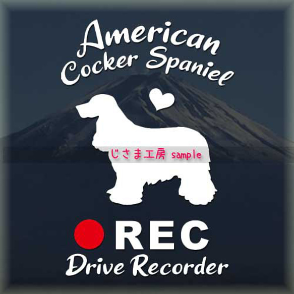 わんちゃんの可愛いドラレコステッカー!!『DRIVE　RECORDER』