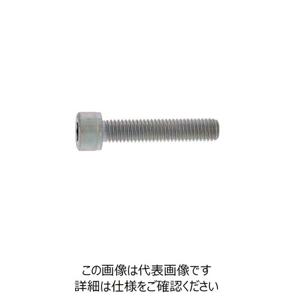 SUNCO ステンCAP（全ネジ 30×100 （8本入） A0-02-0010-0300-1000-00 241-6854（直送品）