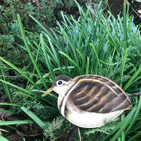 本革　鳥　タマシギ　ポーチ