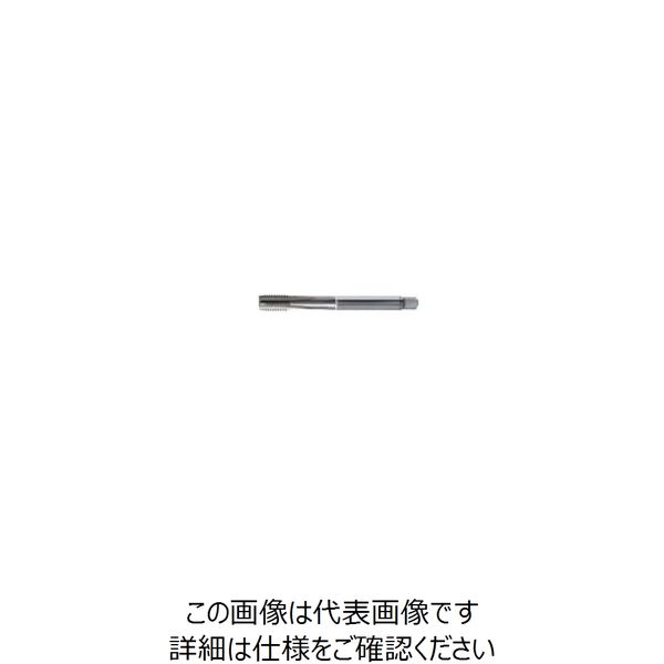 グーリングジャパン（GUHRING） ストレートミゾタップ #4451 4451 16.007 1セット（2本）（直送品）