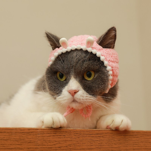 うさぎ/ウサギ 干支犬&猫の帽子☆毛糸の帽子☆犬の頭飾り☆テディ装飾☆ウサギ耳帽☆おかしい変装帽☆人形の帽子