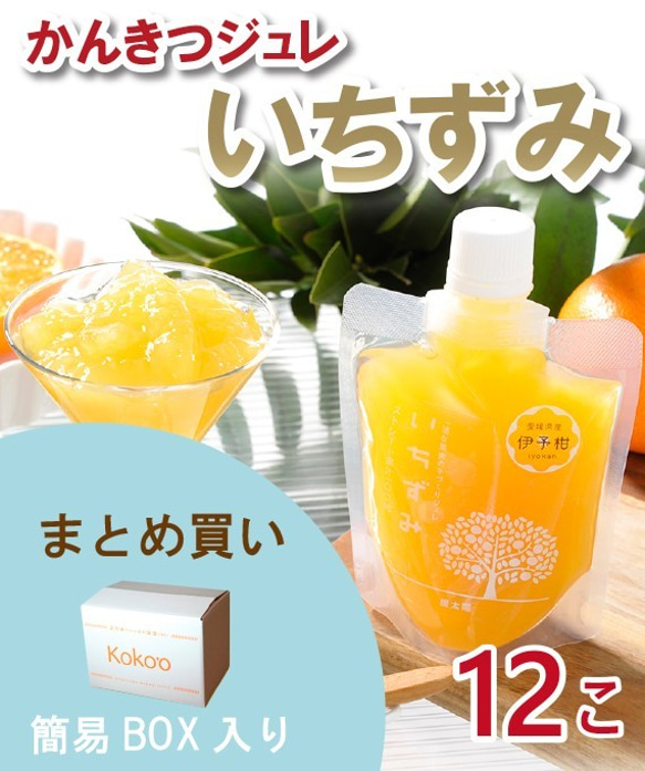 【大容量】愛媛県産　～本格みかんジュレ～「いちずみ」＜12個入＞【手土産・贈り物・ストック】