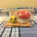 黄色セキセイインコときのこの小物入れ