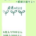 【5月号】若葉のたより / こいのぼりを贈る【4枚入り】