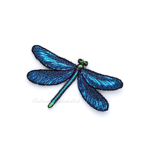 アオハダトンボ　トンボ　昆虫　蜻蛉　 dragonfly