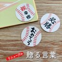 【リニューアル✨】⚾️贈る言葉シール  〜 野球　硬式