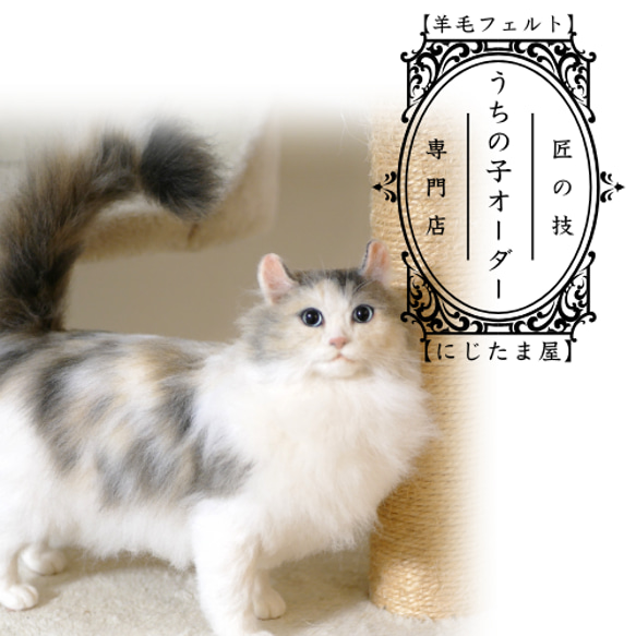 リアル羊毛フェルト「うちの子」オーダー 猫 犬 そっくり ﾍﾟｯﾄ ｽｺﾃｨｯｼｭ ﾉﾙｳｪｰｼﾞｬﾝ ｱﾋﾞｼﾆｱﾝ