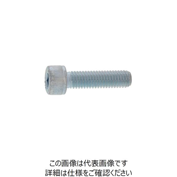 SUNCO 三価ブラック CAP（TKS 16 × 150 （15本入） A0-00-000T-0160-1500-04 248-1454（直送品）