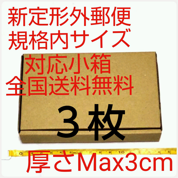 定形外郵便用小型ダンボール３枚：厚さMAX3cm定形外郵便規格内サイズ