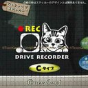 ドライブレコーダー録画中 　猫　ステッカー キジトラ　アメショー ドラレコ　煽り運転防止