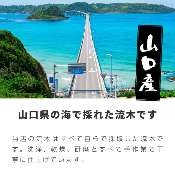 流木 棒 おまかせセット：A1 15cm以内/10本 ハンドメイド素材 ガーデニング素材 装飾 【送料無料】