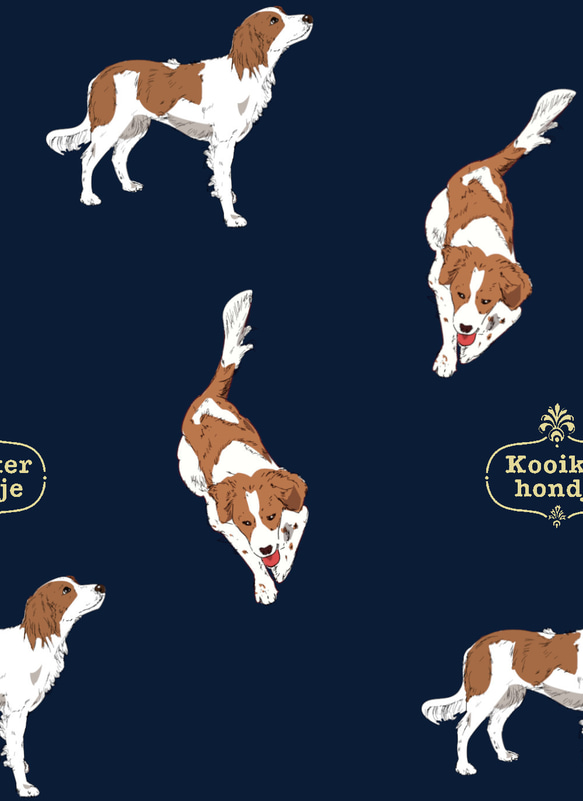 シーチング　Kooikerhondje　NAVY　　BESPOKE