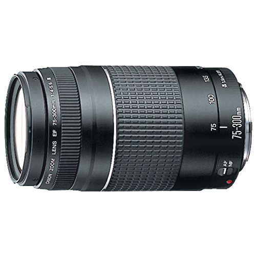 Canon EFレンズ EF75-300mm F4-5.6 IIIズームレンズ 望遠 並行輸入品【中古品】