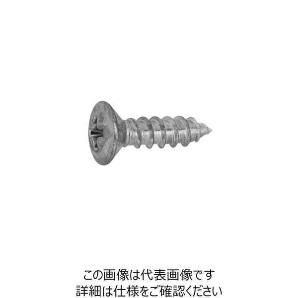 ファスニング J ステンメッキ 鉄（+）丸皿タッピンねじ（1種 A形） 6 X 40 20000002006004005S（直送品）