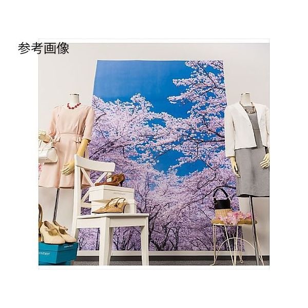 アズワン バックグラウンドシート さくら 175×240cm 65-9146-67 1個（直送品）