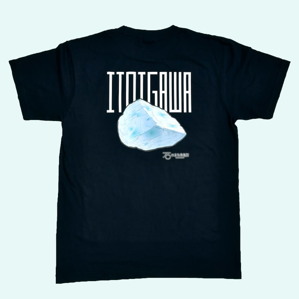 【送料無料】「ITOIGAWAロック」メンズ・レディースおとなサイズ　いといがわTシャツコレクション