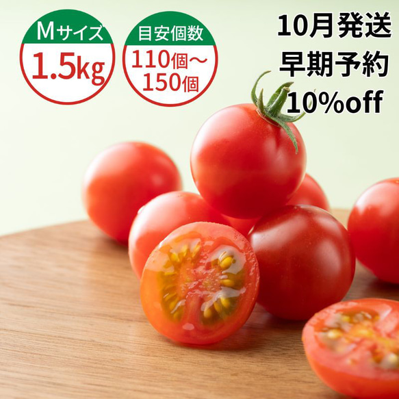 【予約割10％OFF】10月発送★子供に大人気！超濃厚ミニトマト 1.5kg