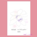 09月04日誕生花カード（花言葉つき）点描画